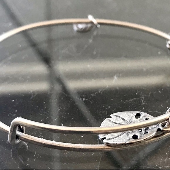 Alex and Ani bangle bracelet - Picture 5 of 5